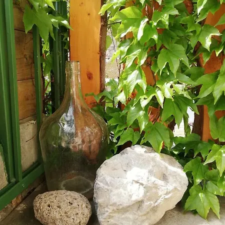 Gyoengyszem Vendeghaz Guest house Eger