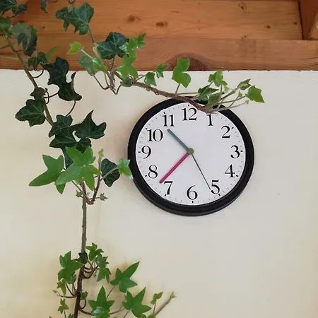 Gyoengyszem Vendeghaz Eger