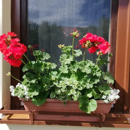 Gyoengyszem Vendeghaz Eger