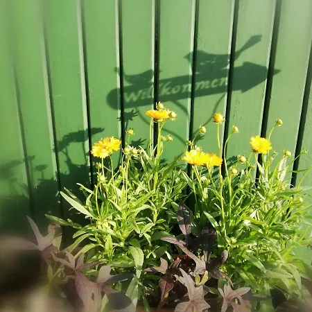 Gyoengyszem Vendeghaz